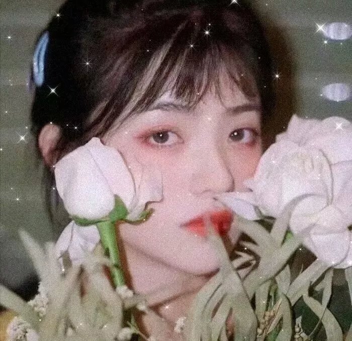 护花忙