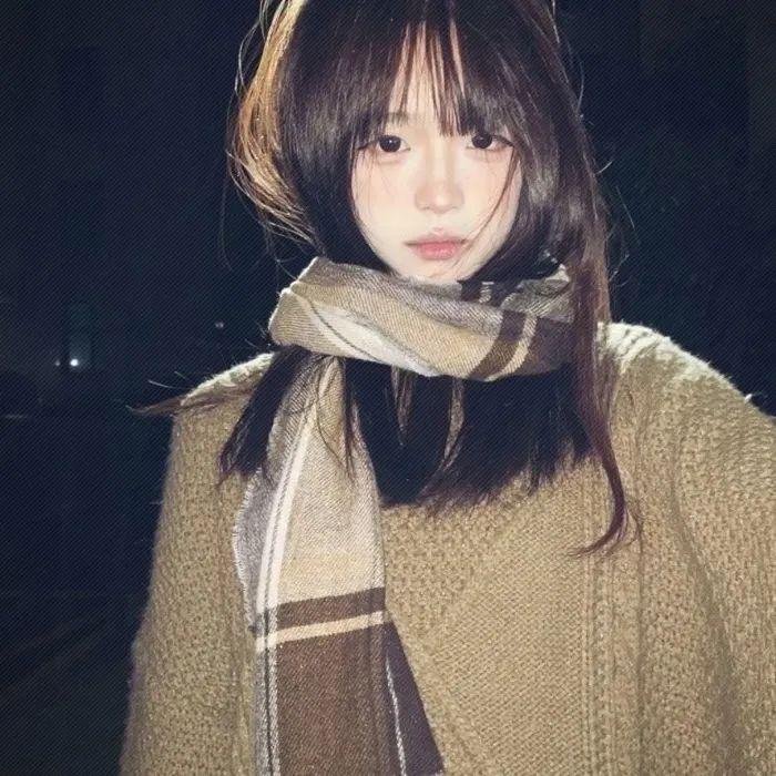 星星守护犬