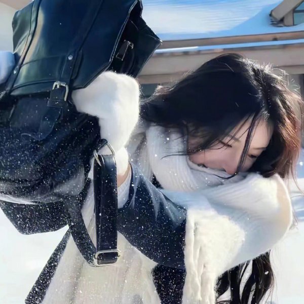 玉女求凰
